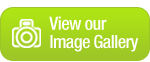 View Image Gallery
